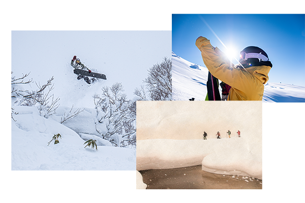 partnered in poweder